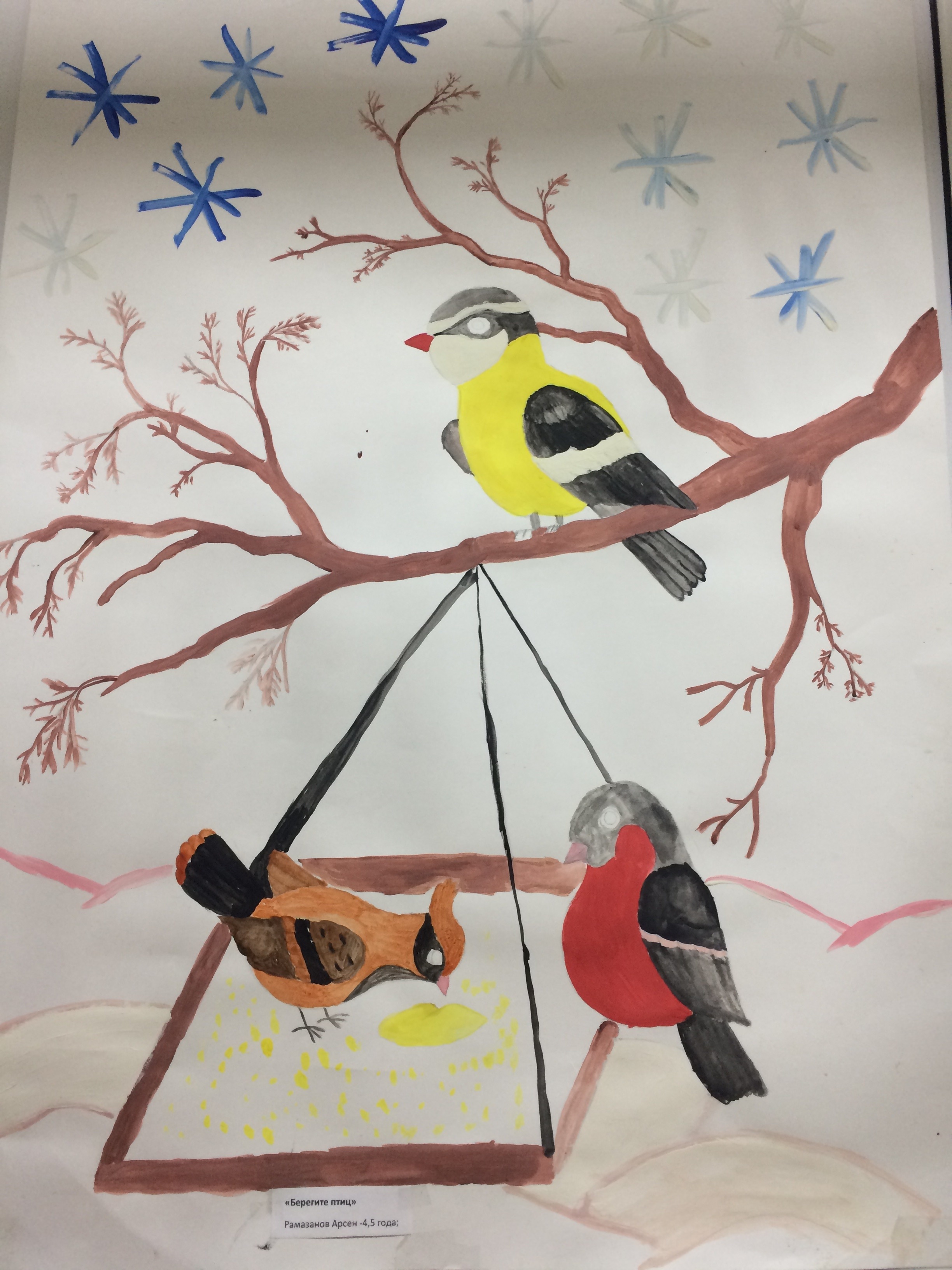 Рисунок берегите птиц. Рисунок на тему птицы. Рисунок на тему зимующие птицы. Рисование птицы зимой. Рисунок на тему берегите птиц.