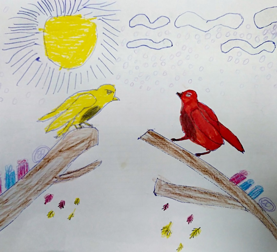 Рисунок на тему день птиц. Детские рисунки птиц. Птица детский рисунок. Рисунок птицы на конкурс. Детские рисунки птички.