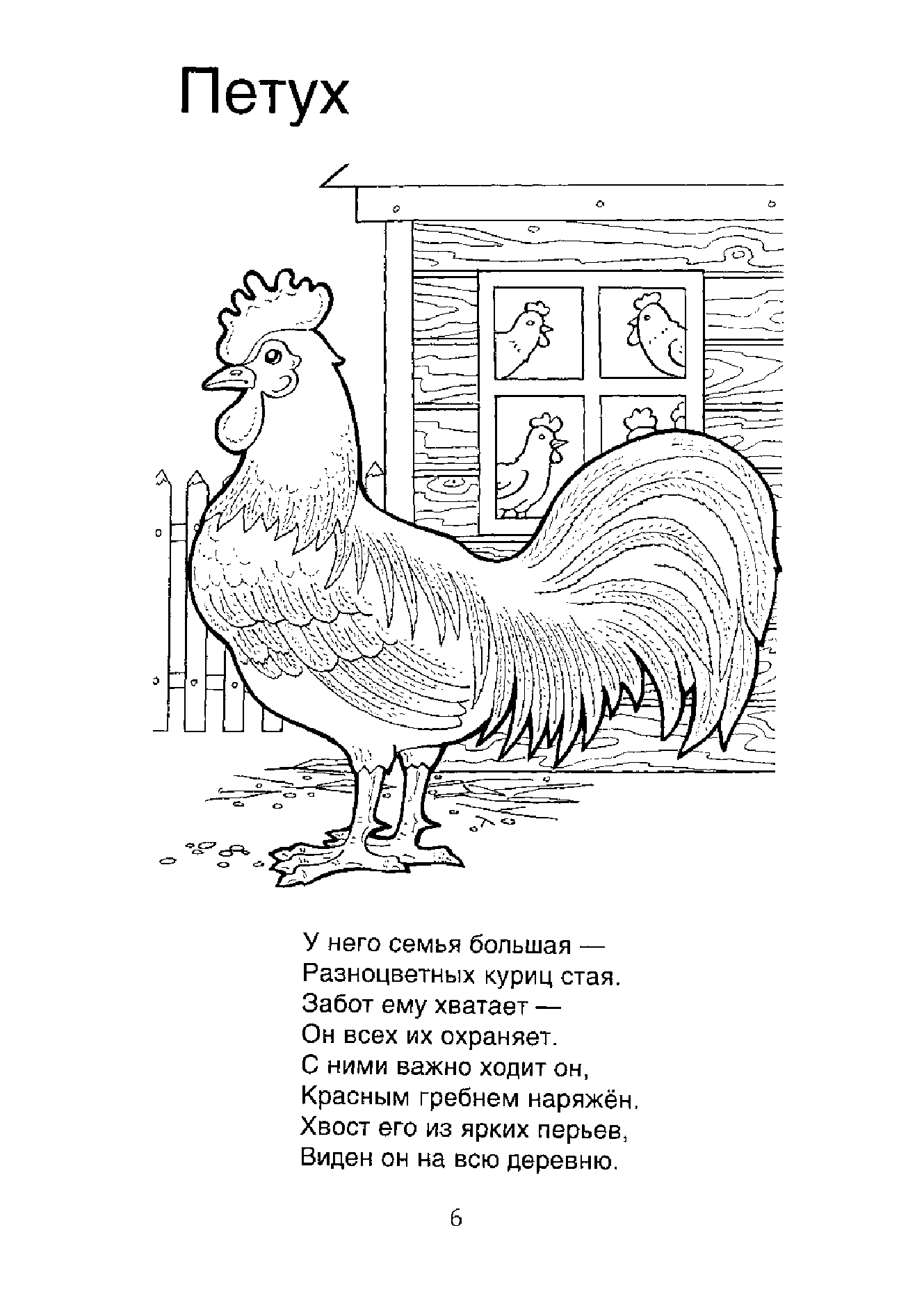 Загадка крылатый горластый. Загадка про петушка. Загадка про петуха. Стих про петуха. Петух раскраска для детей.