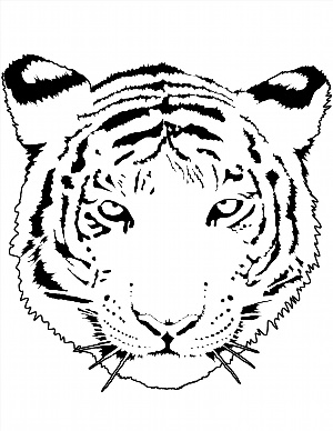 Лицо тигра рисунок для детей