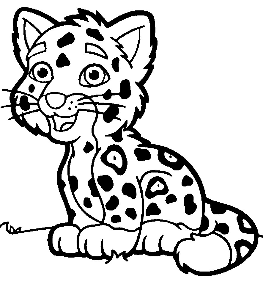 Раскраска тиг. Дальневосточный леопард раскраска. Леопард раскраска для детей. Леопард рисунок. Амурский леопард раскраска.