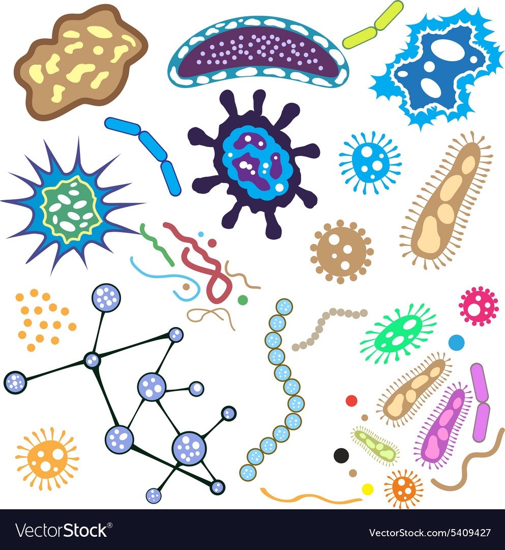 Микробы нарисовать для детей и бактерии