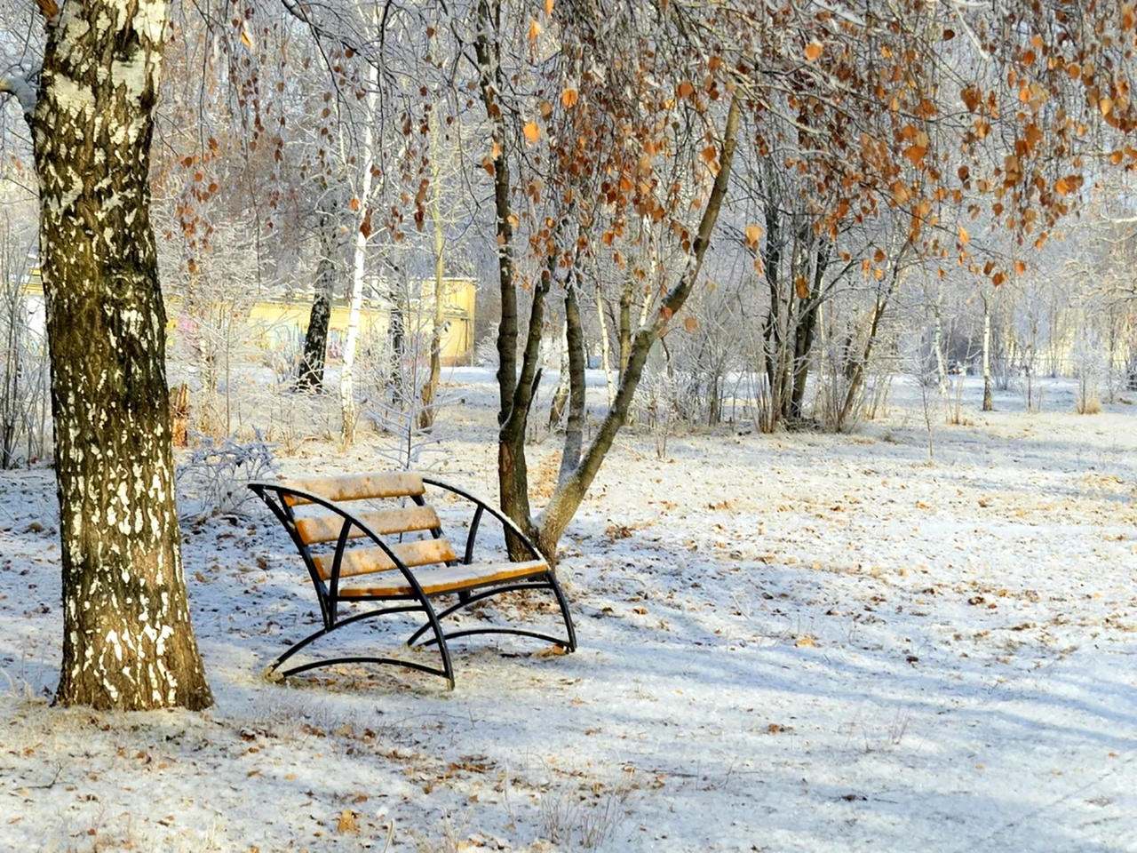 Первый снег всегда. Первый снег. Поздняя осень в парке. Зима ноябрь. Осень снег.