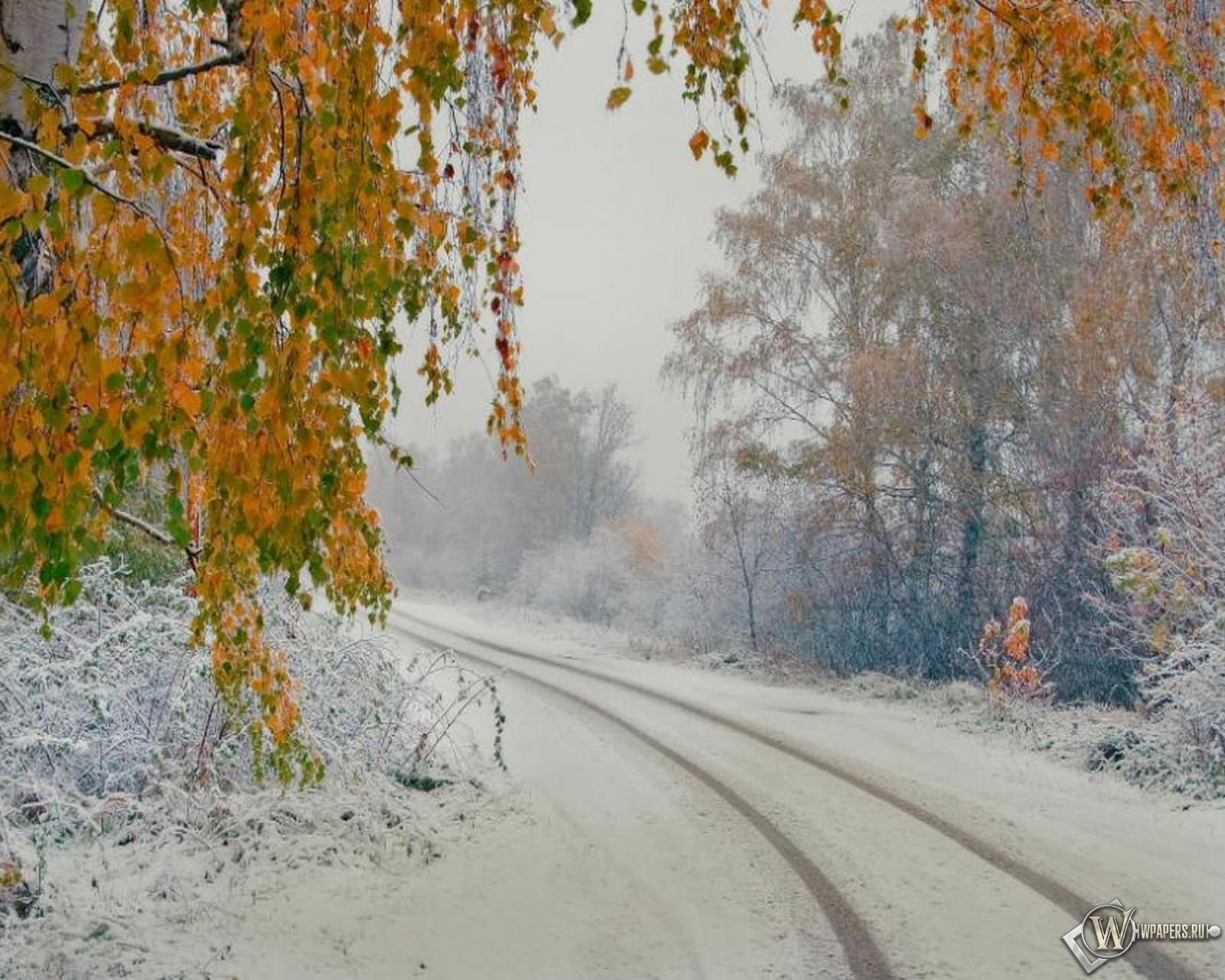 Первый снег всегда. Ранняя зима. Первый снег. Осень первый снег. Снежная осень.