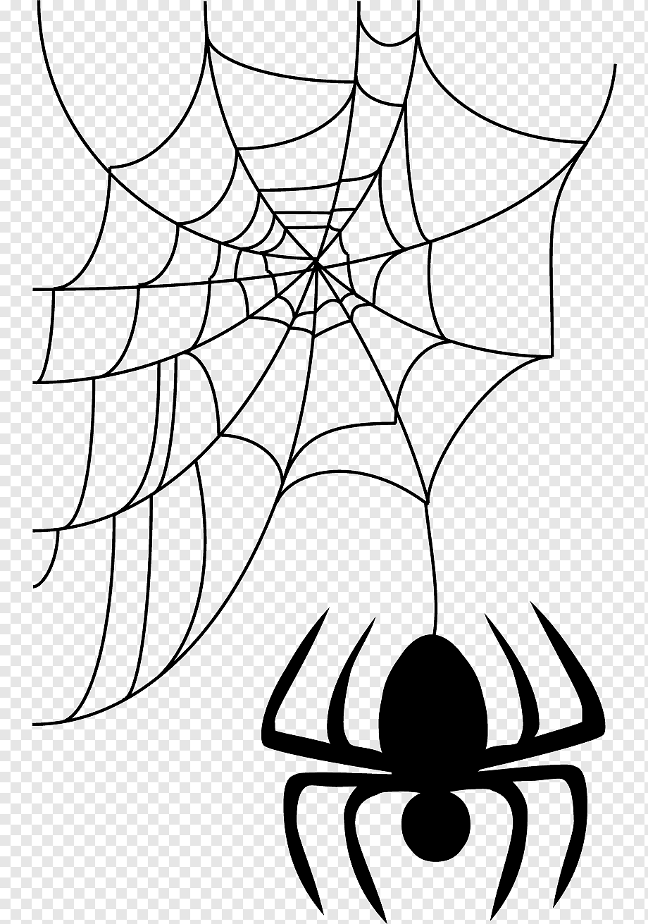 Паутина человека паука без паука. Паук на паутине. Паутина на Хэллоуин. Паутина мультяшная. Паутина рисунок.