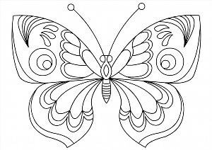 Бабочка раскраска для детей