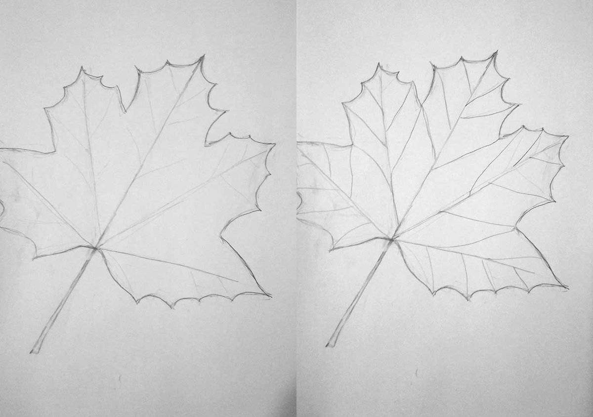 Картинка лист карандашом. Рисование кленового листа. Кленовый лист карандашом. Лист клена карандашом. Как рисовать кленовый лист.