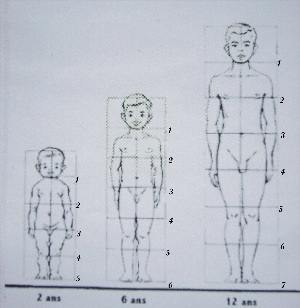 Пропорции ребенка рисунок
