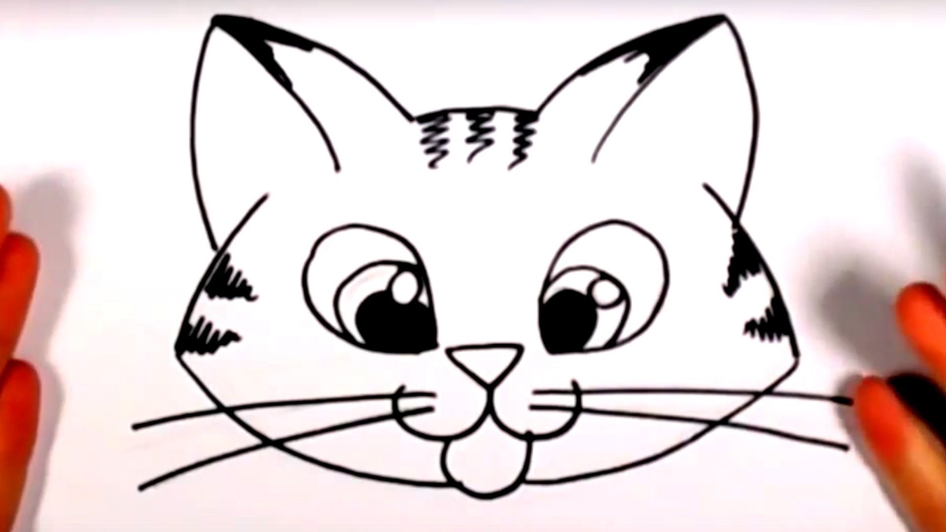 Покажи картинку где рисовать. Морда кошки рисунок. Мордочка котика рисунок. Лёгкие рисунки. Рисунки очень легкие и красивые.