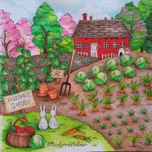 Рисунок на тему огород
