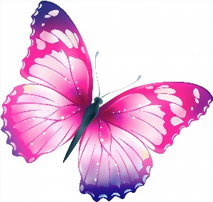 Бабочка розовая рисунок