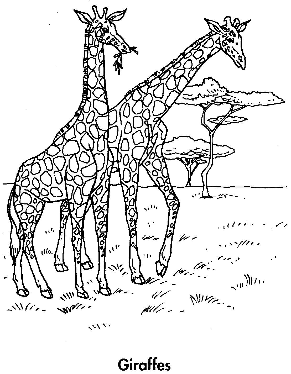 Zoonomaly раскраска. Жираф. Раскраска. Жираф раскраска для детей. Раскраска жирафа для детей. Жирафик раскраска для детей.