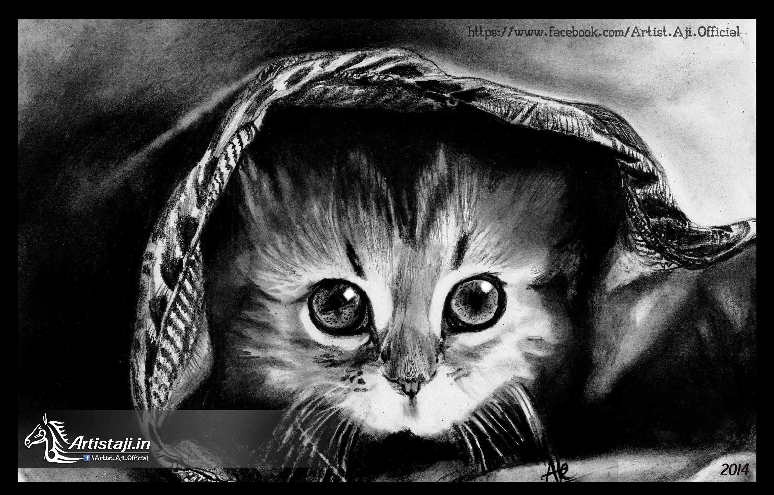 Pencil cats. Красивые рисунки. Рисунки котов. Красивые рисунки котиков. Красивый кот рисунок.