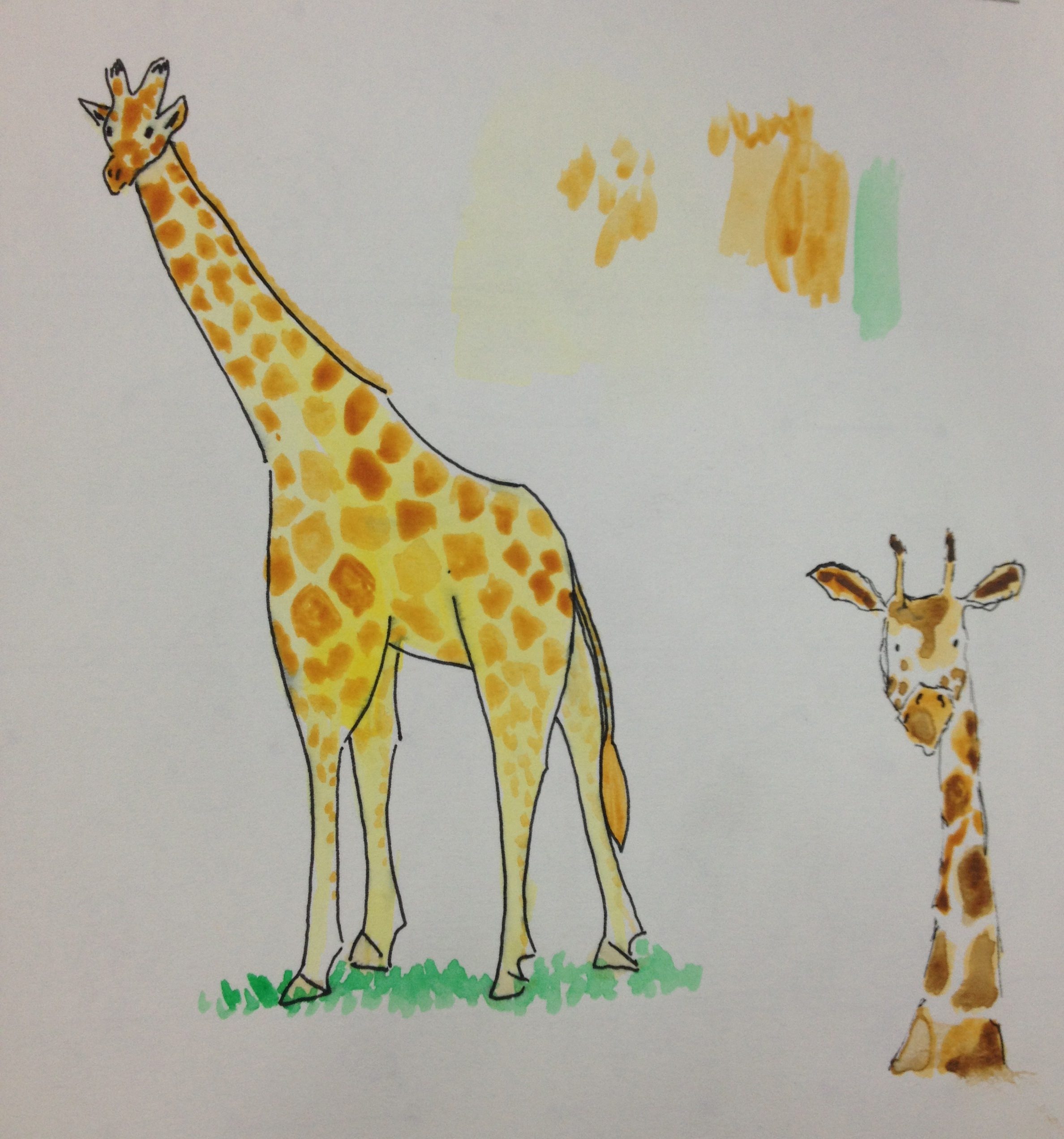 Жираф поэтапно для детей. Рисунок жирафа. Рисунок жирафа для детей карандашом. Жираф цветными карандашами. Жираф рисунок для срисовки.