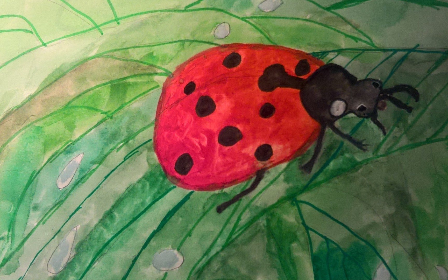 Рисование божья коровка старшая группа. Рисование насекомые. Рисование насекомых в детском саду. Рисование красками насекомые. Рисование красками Божья коровка.