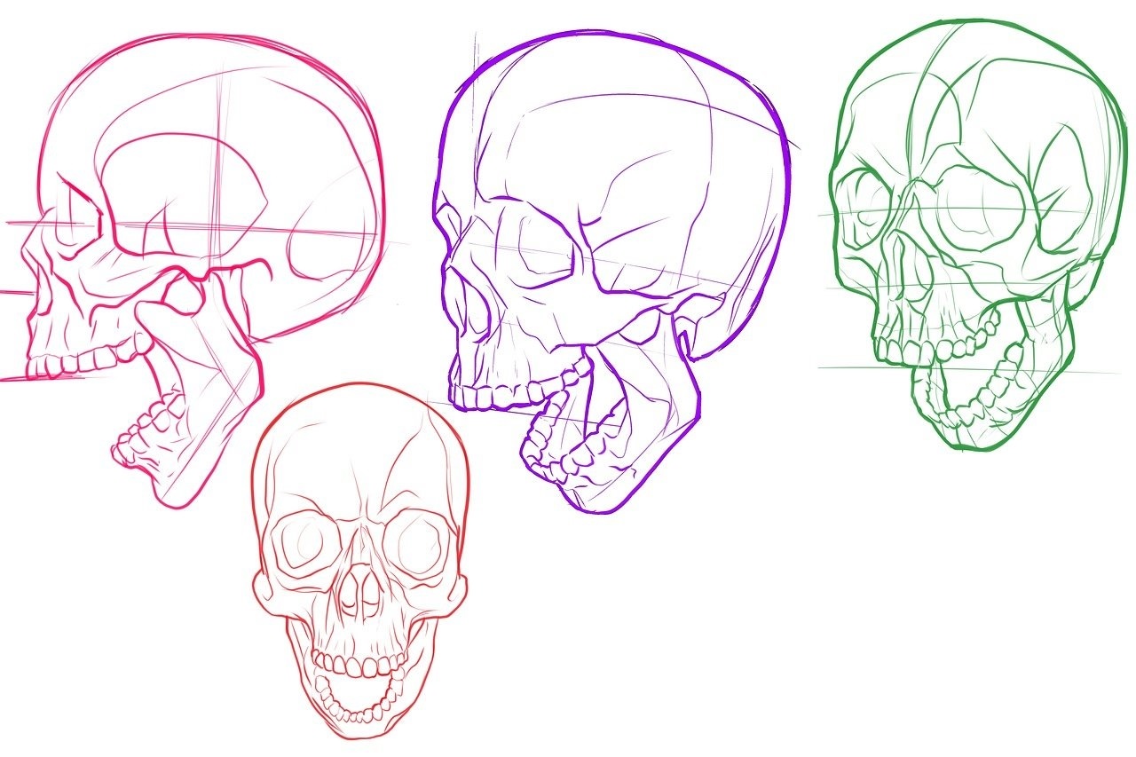 Рисунки поэтапно череп