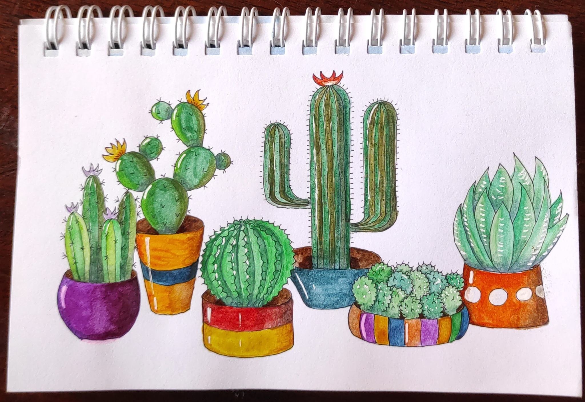 Рисунки кактуса для срисовки. Идеи для рисования кактусы тренды. Фото цветов на кактусе рисунки маркерами.