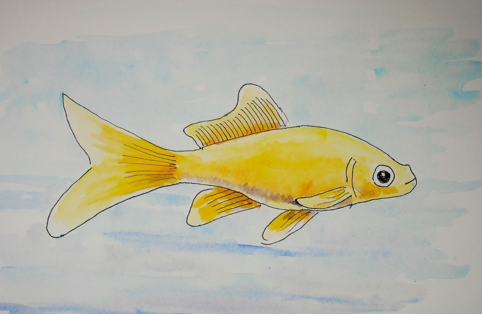 Нарисовать рыбку картинки. Рыба рисунок. Рисование рыбы 1 класс. Лёгкие рисунки рыбок. Золотая рыбка рисунок.