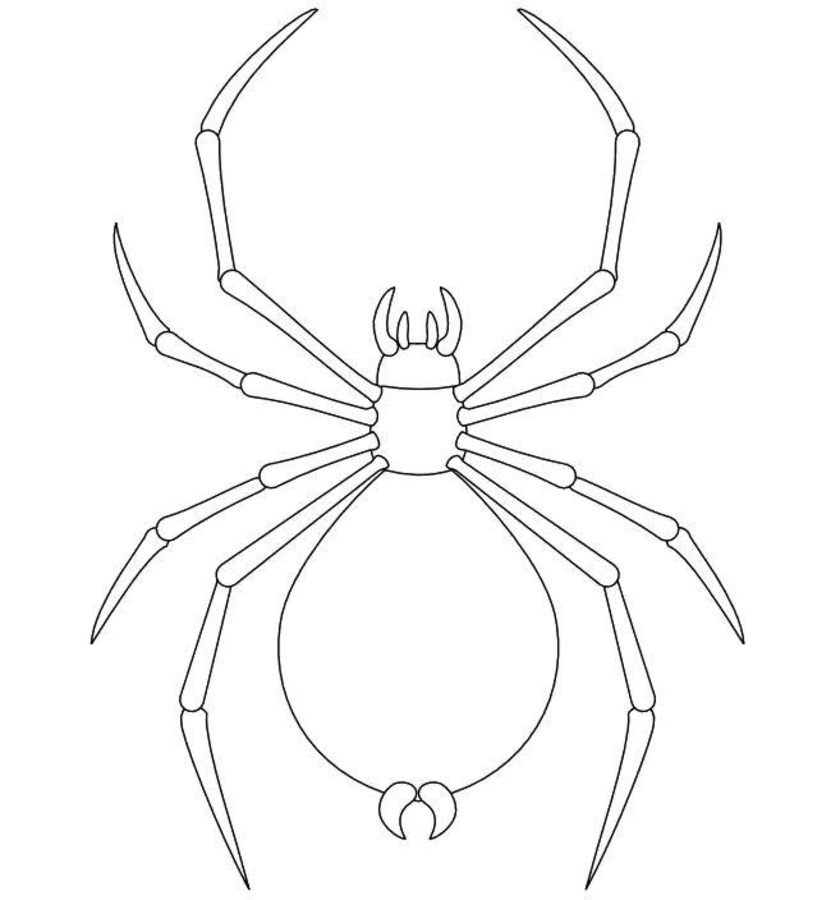 Как нарисовать паука легко и просто