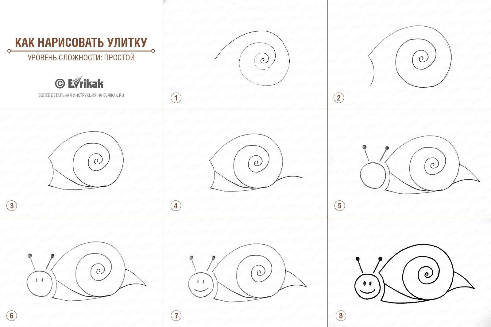 Как нарисовать улитку. Нарисовать улитку пошагово. Улитка поэтапное рисование. Как нарисовать улитку поэтапно. Поэтапный рисунок улитки.