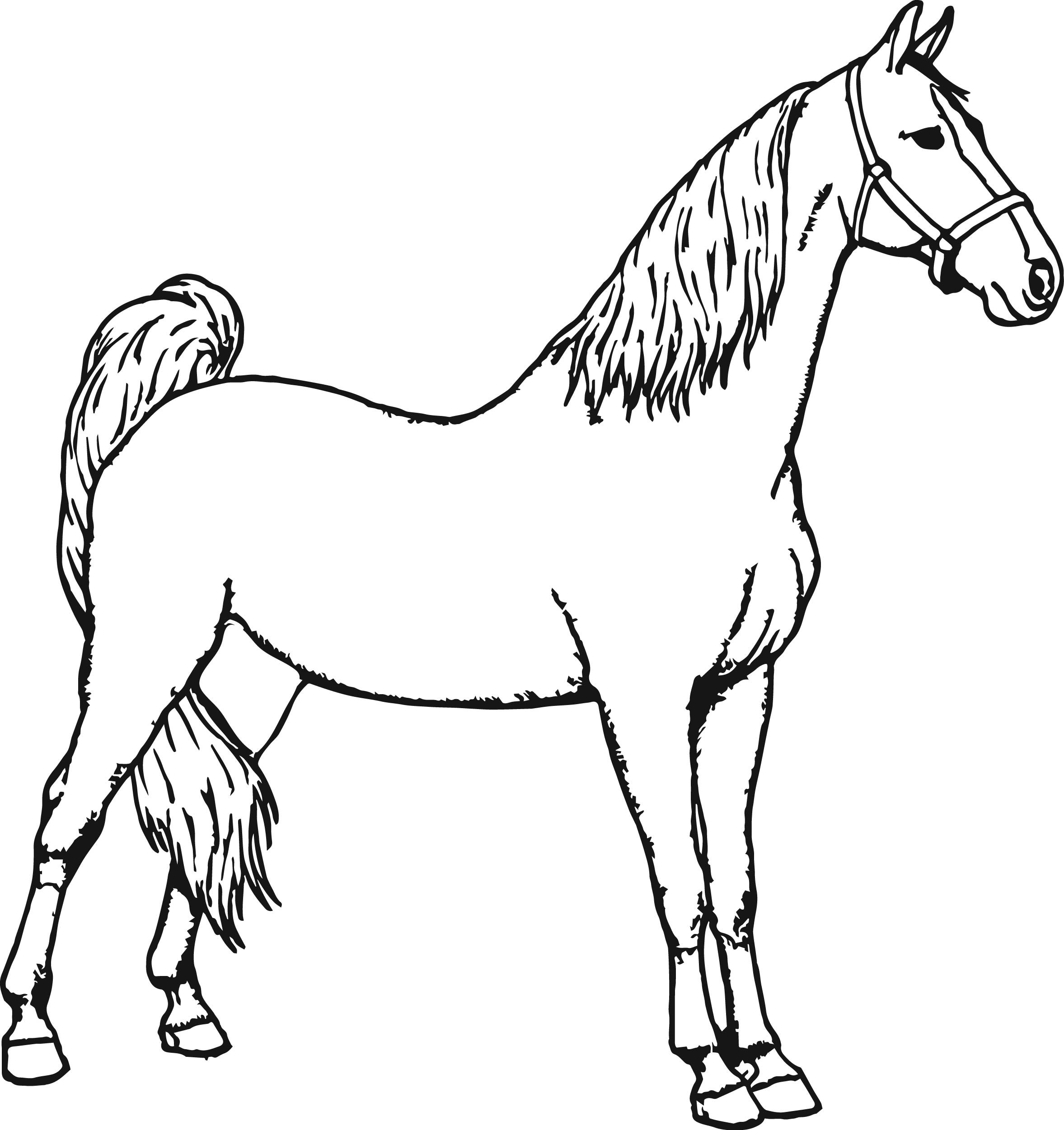 Раскрасить лошадку. Раскраска. Лошади. Лошадка раскраска для детей. Лошадь рисунок раскраска. Конь раскраска для детей.