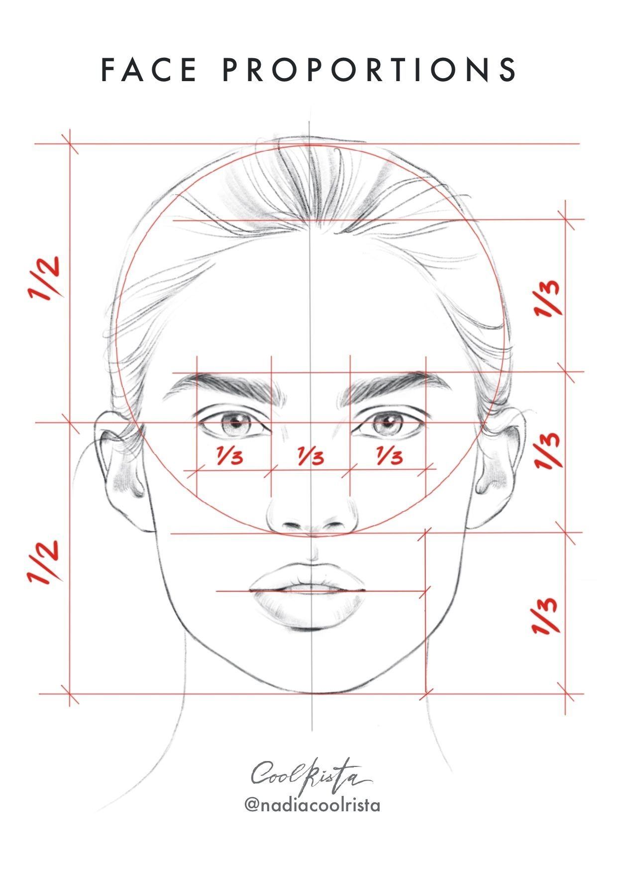 Лицо с пропорциями рисунок