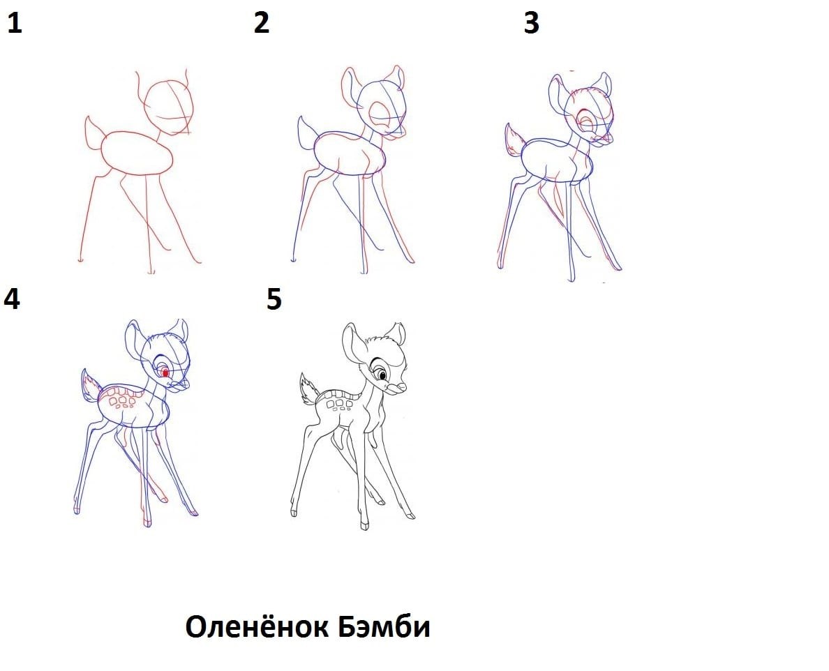 Как поэтапно карандашом нарисовать оленя карандашом поэтапно