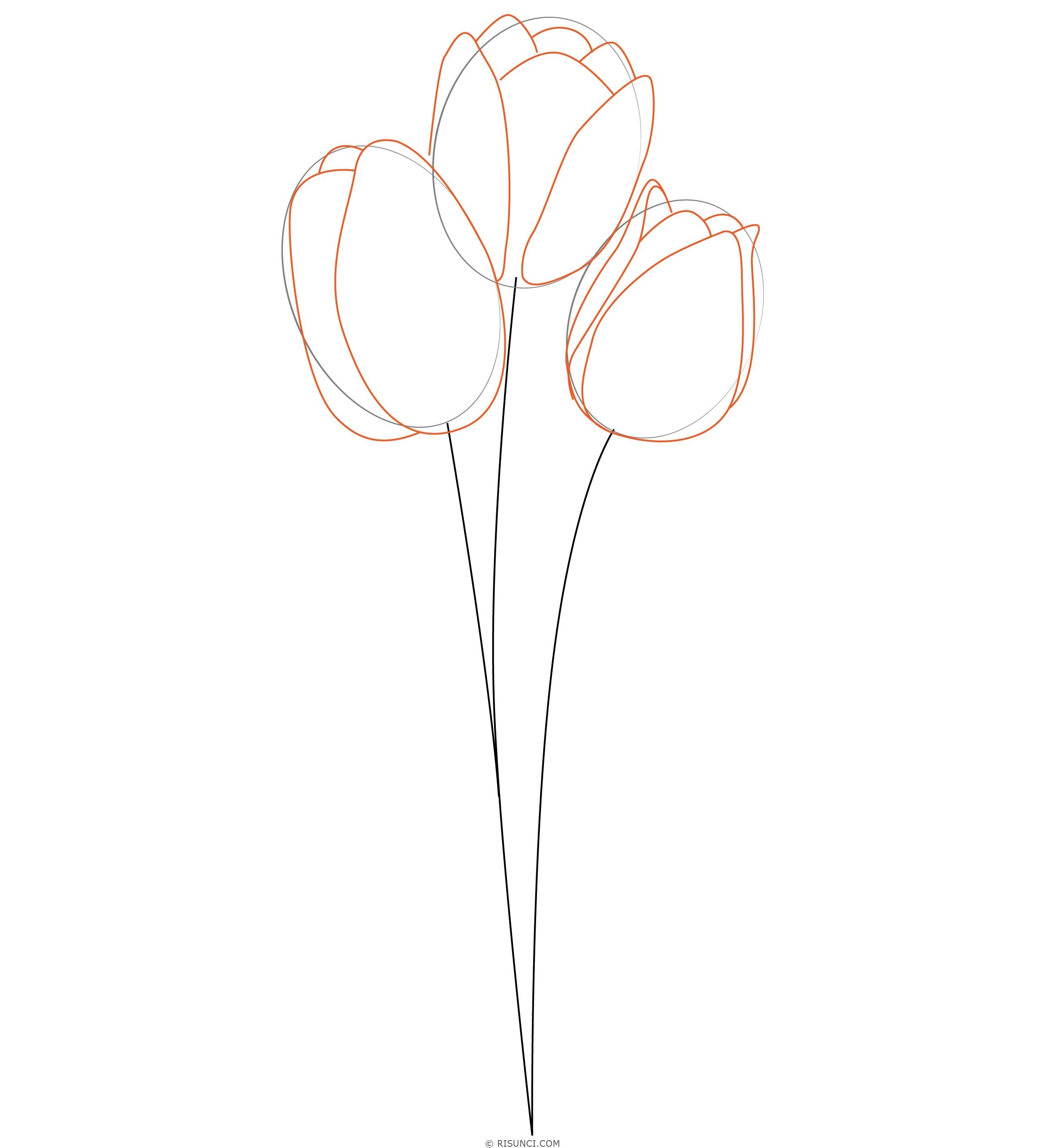 Нарисовать рисунок тюльпаны. Тюльпан карандашом для начинающих. Тюльпаны рисунок карандашом. Тюльпаны карандашом пошагово. Рисунки тюльпанов для срисовки.