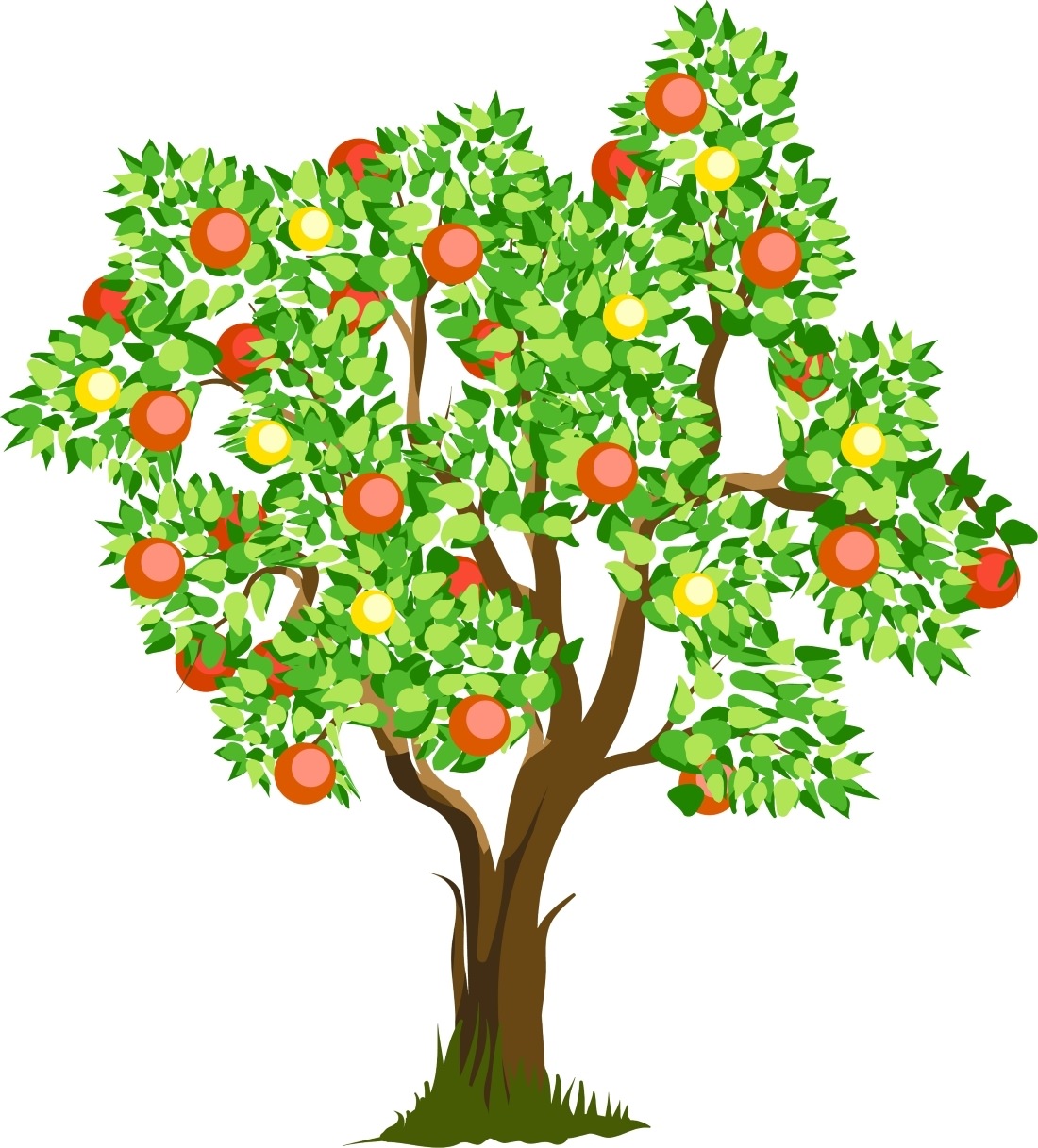 Яблоня без яблок картинка для детей на прозрачном фоне