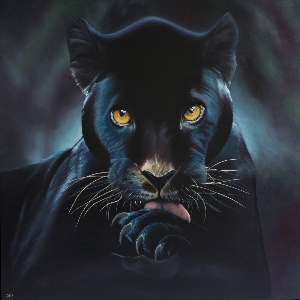 Рисунок черной пантеры