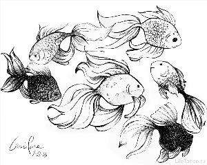 Зарисовки рыбок
