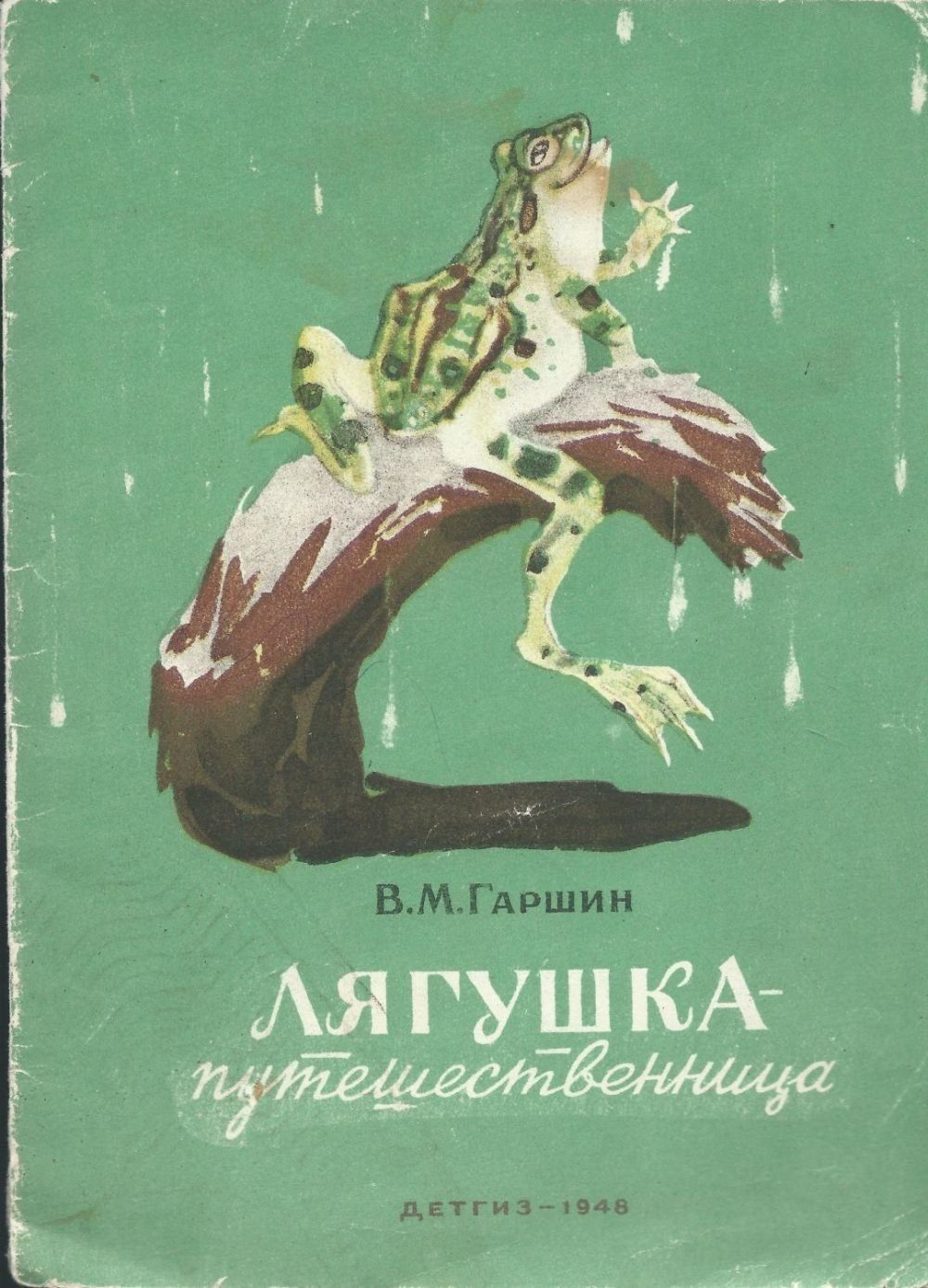 Гаршин лягушка. В.М. Гаршина 