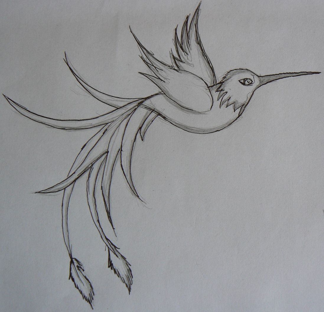 Рисунки птиц для срисовки легкие. Птица рисунок. Птицы для срисовки. Рисунки птиц для срисовки. Птицы карандашом для срисовки.