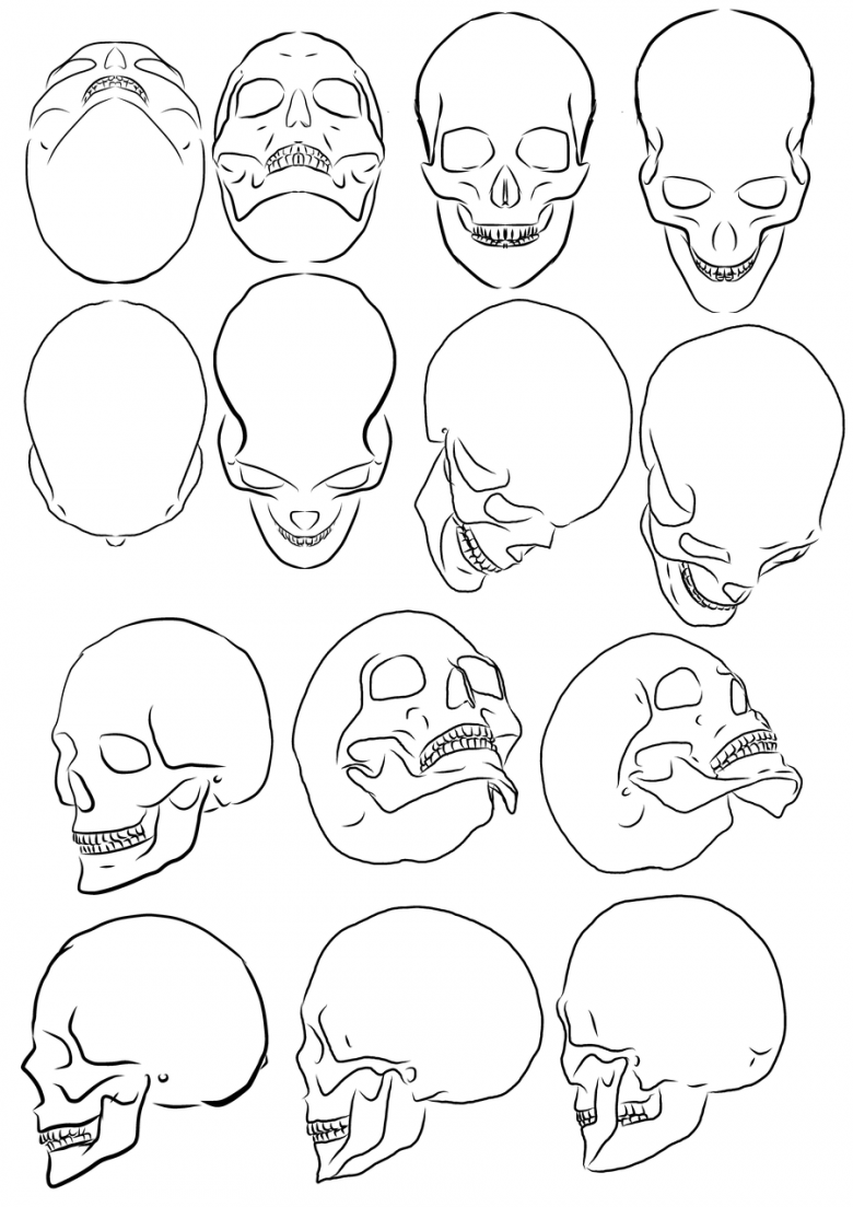 Картинки для срисовки череп человека