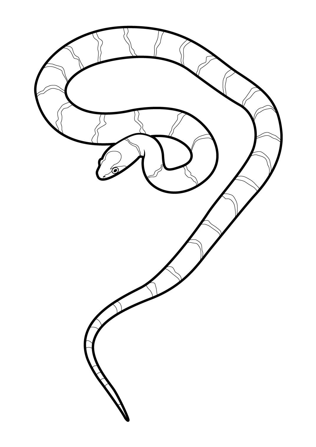 Распечатать картинку змеи. Змея раскраска. Раскраска змеи для детей. Рисунок змеи для детей. Трафарет змеи для раскрашивания.