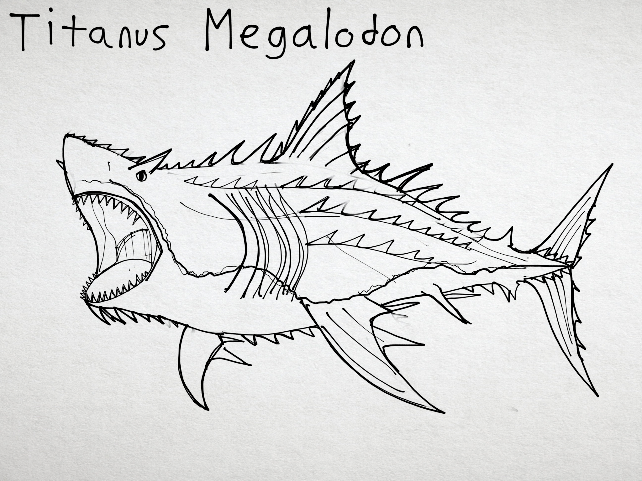 Рисунок карандашом мегалодон