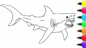Раскраска акула мегалодон