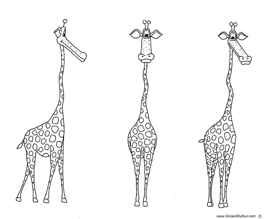 Жираф поэтапно для детей. Рисование жирафа. Рисунок жирафа. Нарисовать жирафа. Жираф рисунок карандашом.
