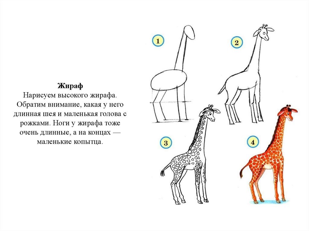 Картинки как рисовать жирафа