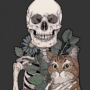 Скелет кота рисунок