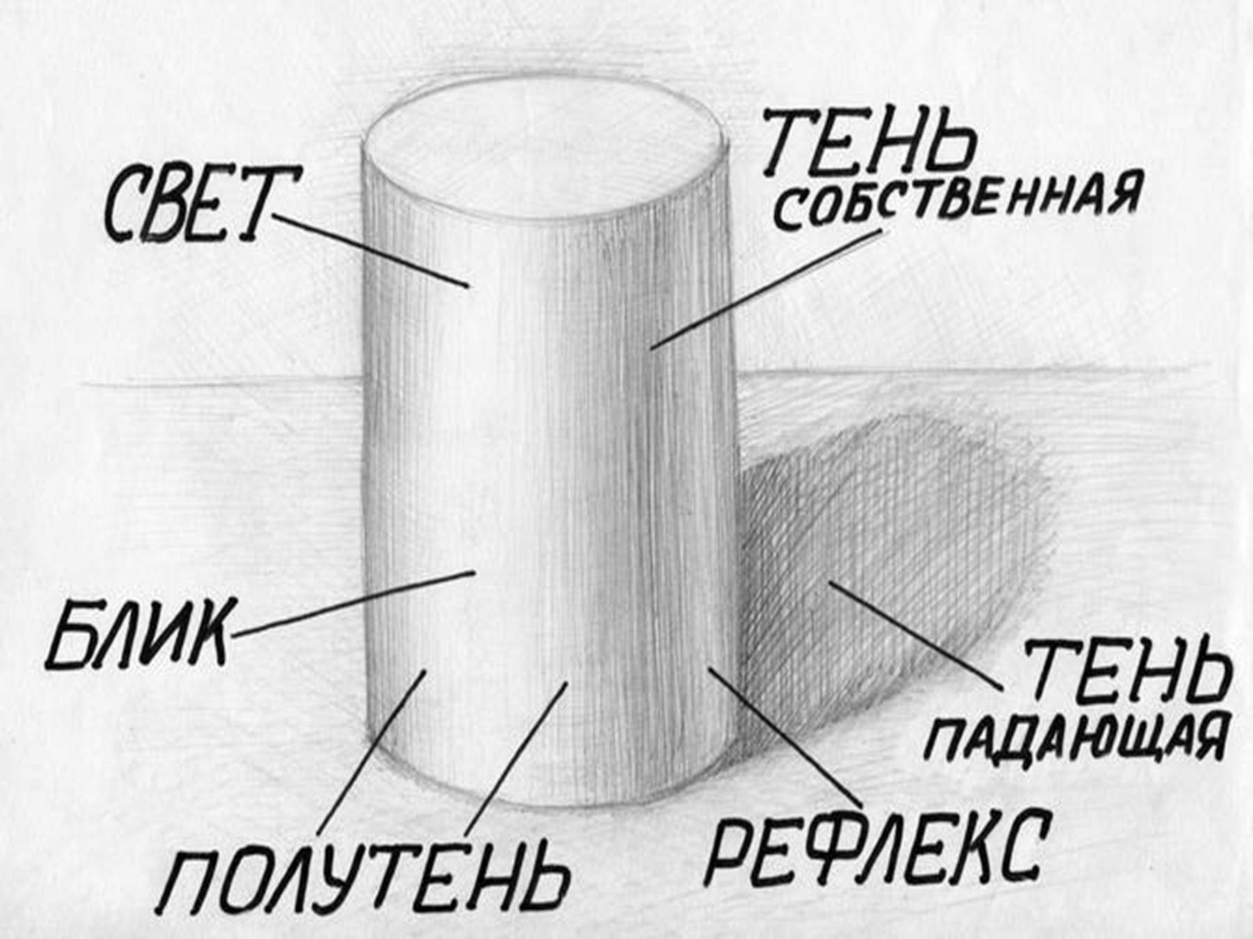 Светотень в рисунке карандашом