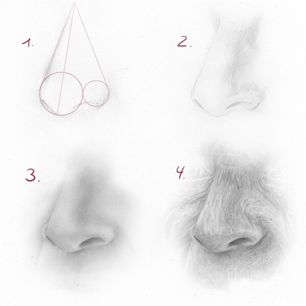Как карандашом рисовать нос человека карандашом поэтапно