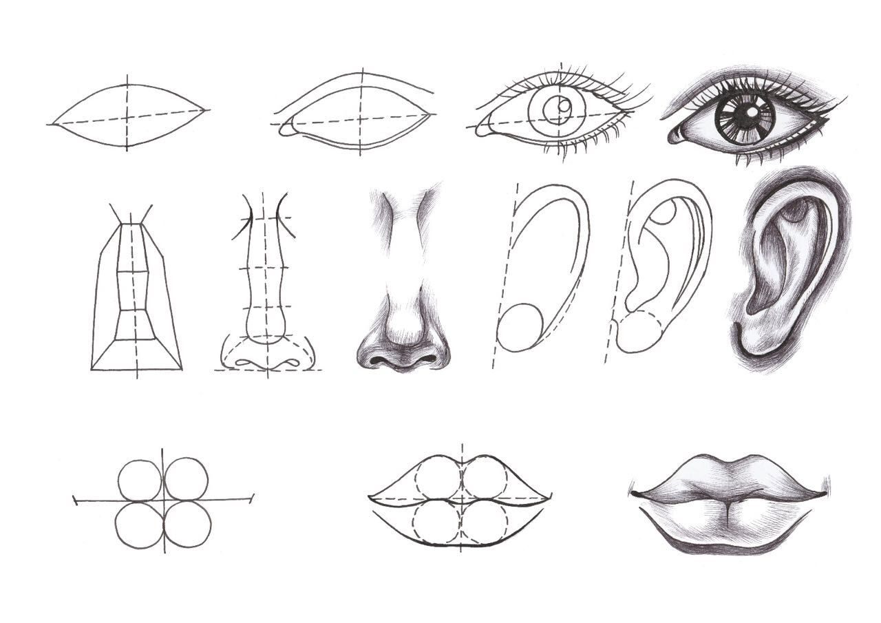 Рисование отдельных частей лица.