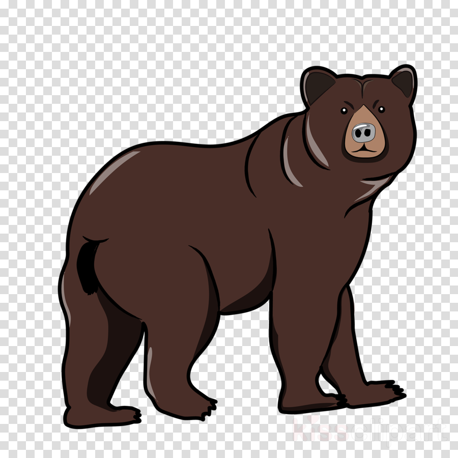 Бурый медведь для детей. Медведь для детей на прозрачном фоне. Медведь мультяшный. Медведь рисунок.