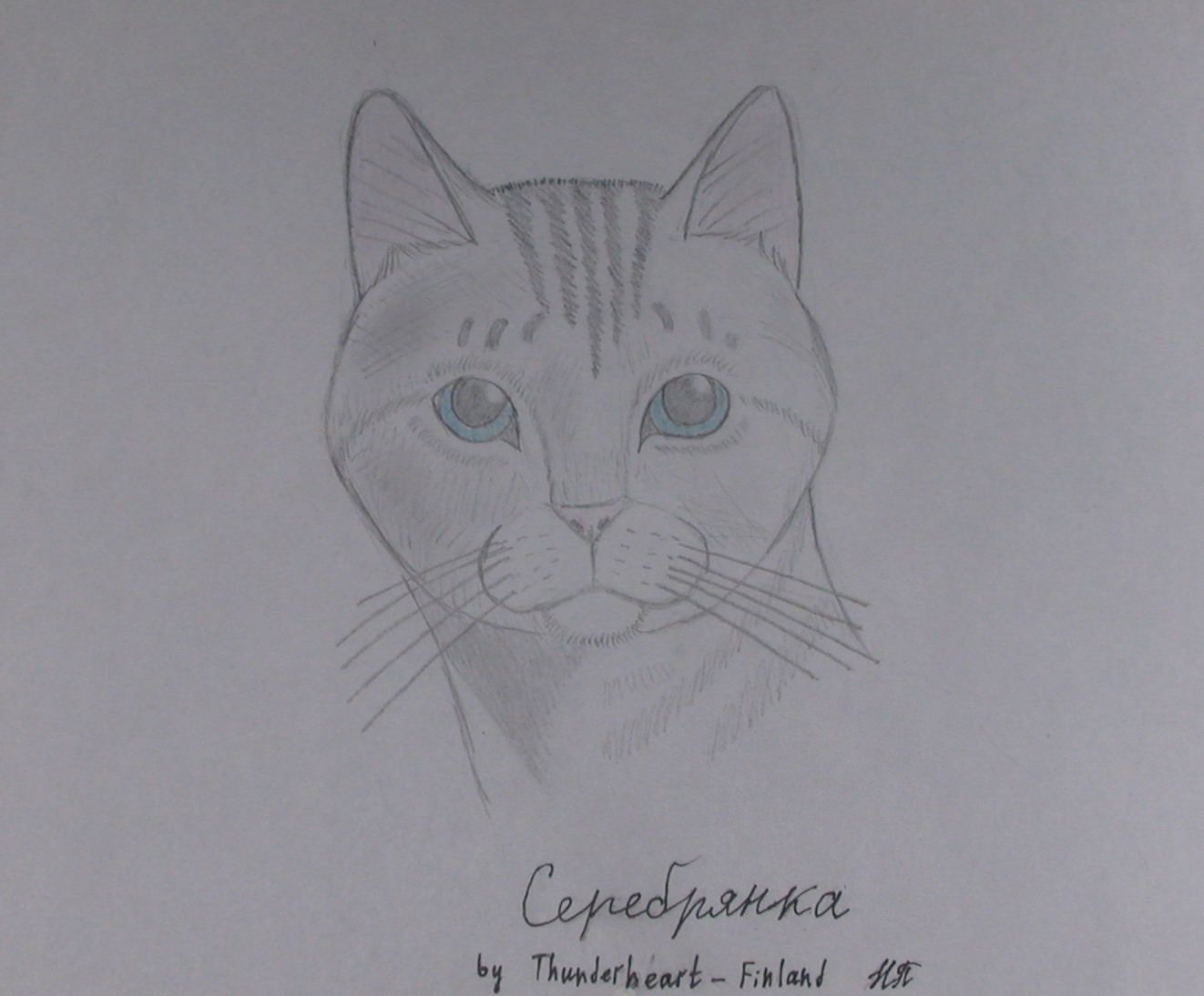 Кот наплакал нарисовать