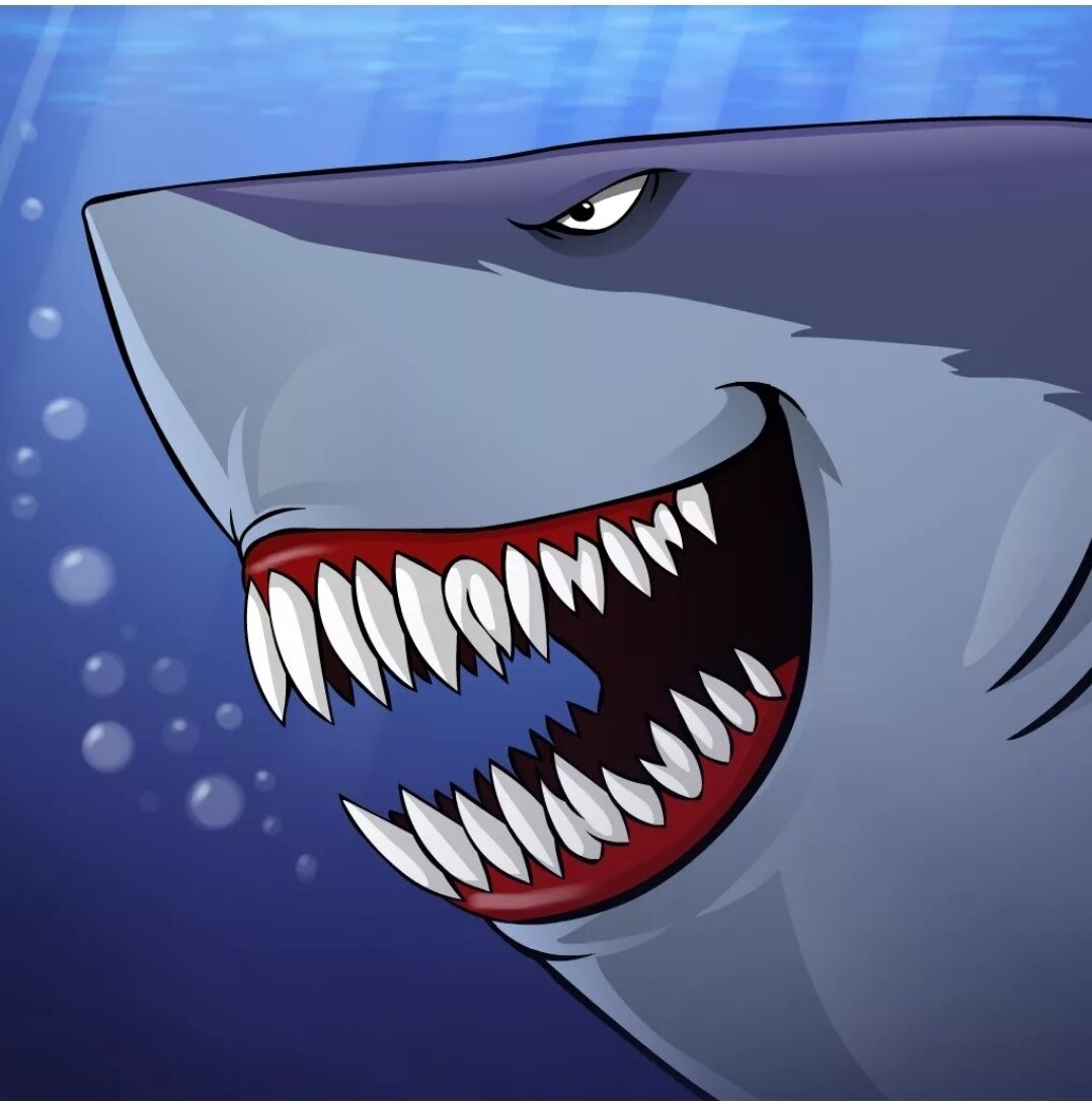 Включи акулы есть. Кархародон МЕГАЛОДОН. Акула белая, акула-людоед, кархародон.