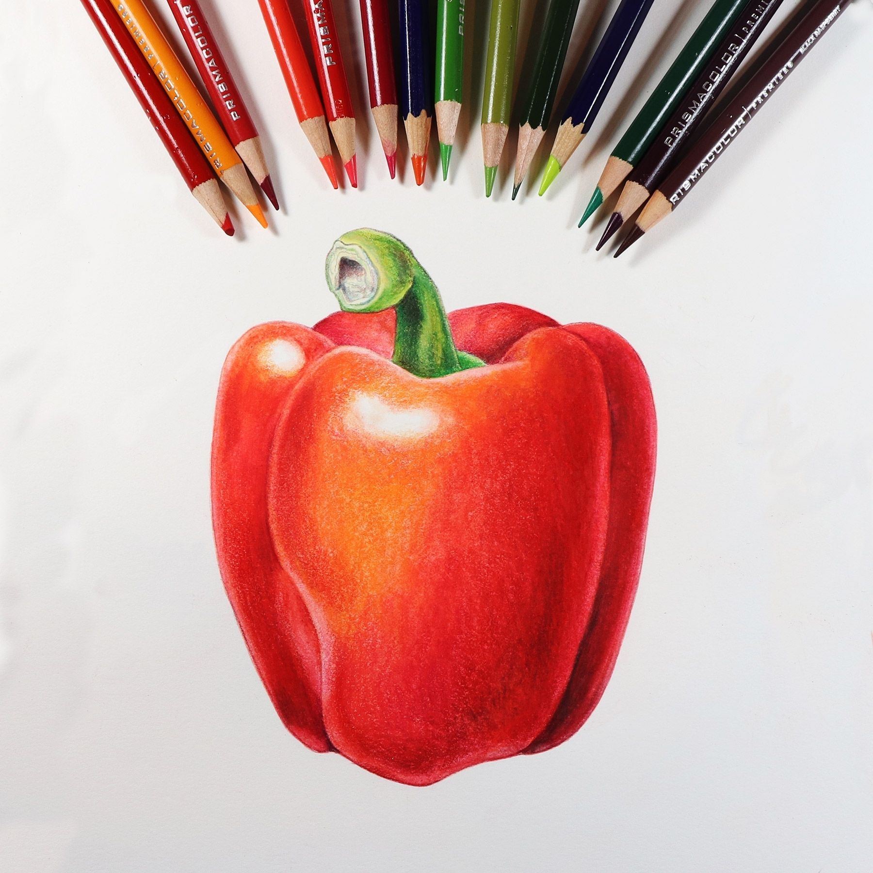 картинки простым карандашом цветным