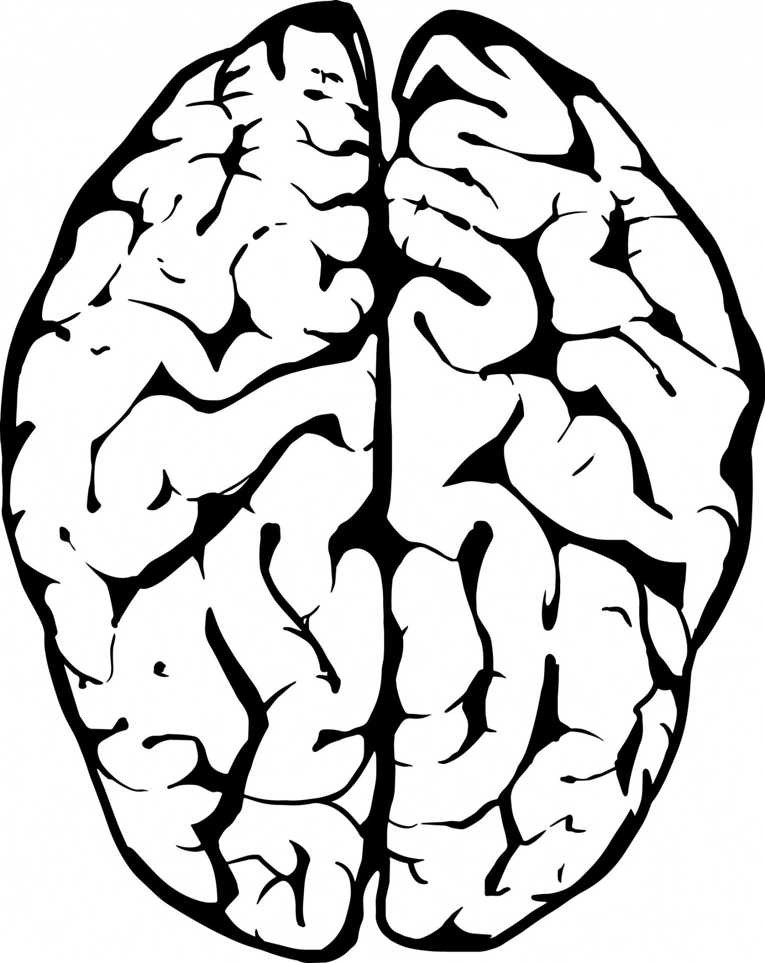 Как нарисовать мозг. Мозг нарисованный. Мозг рисунок.