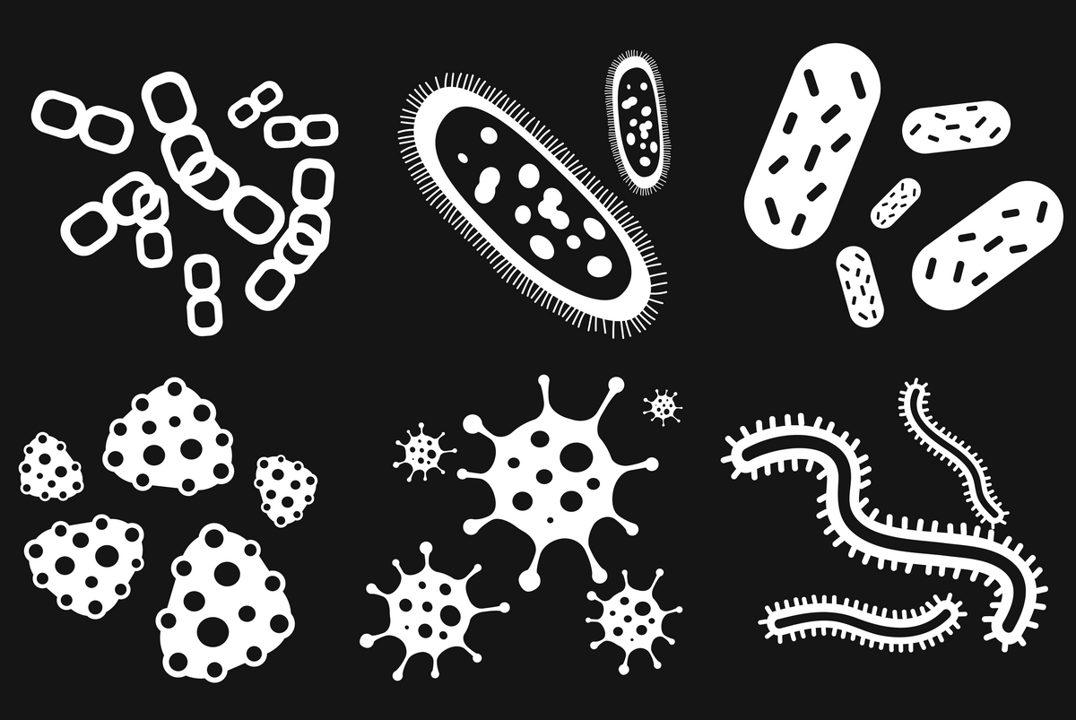 Бактерии картинки для презентации