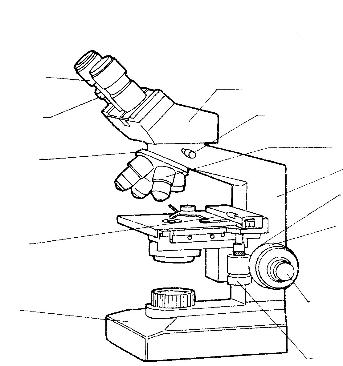 Микроскоп детали рисунок. Световой микроскоп рисунок. Микроскоп карандашом. Нарисовать микроскоп. Зарисовать микроскоп.